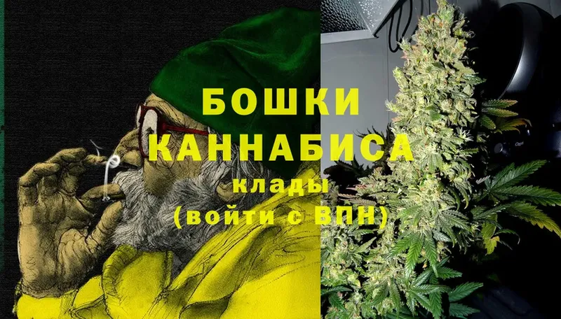 купить закладку  Волоколамск  Шишки марихуана Amnesia 